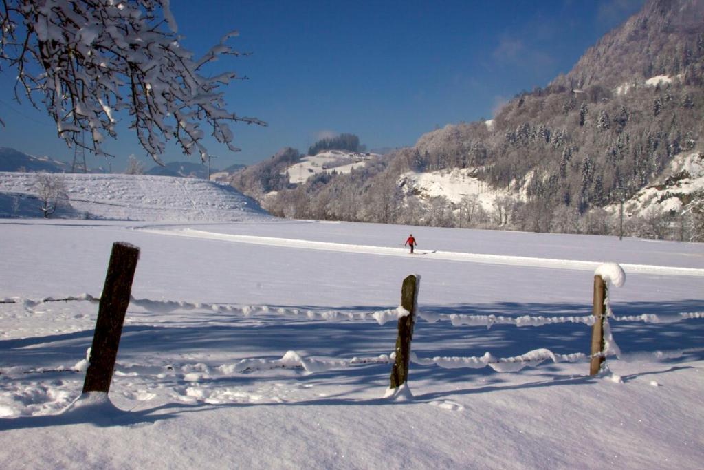 Der Jagdhof Aparthotel Sankt Johann im Pongau Luaran gambar